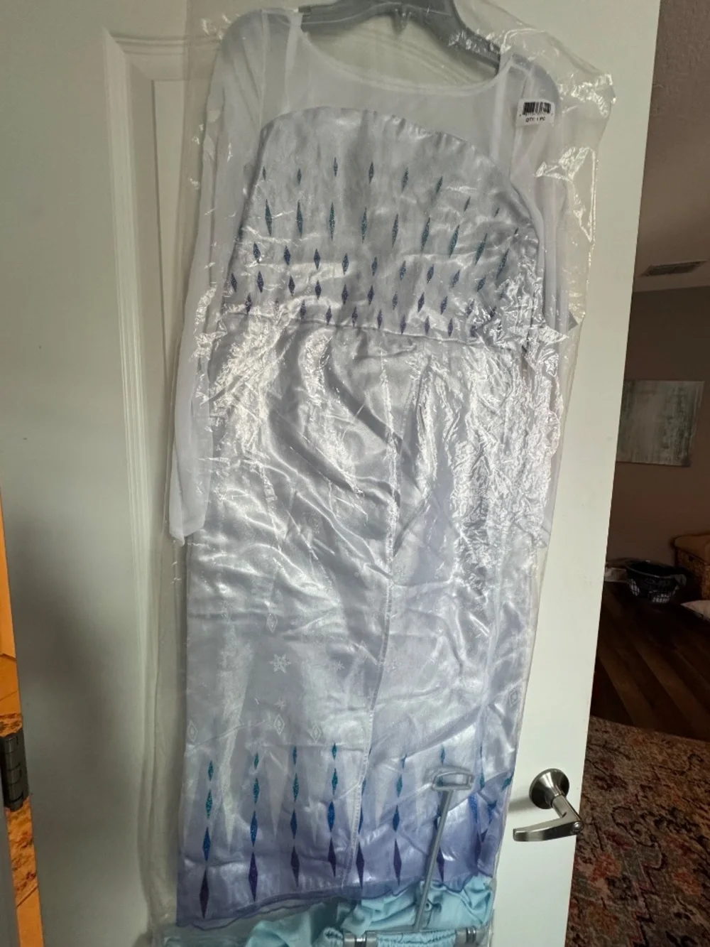 Elsa Costume